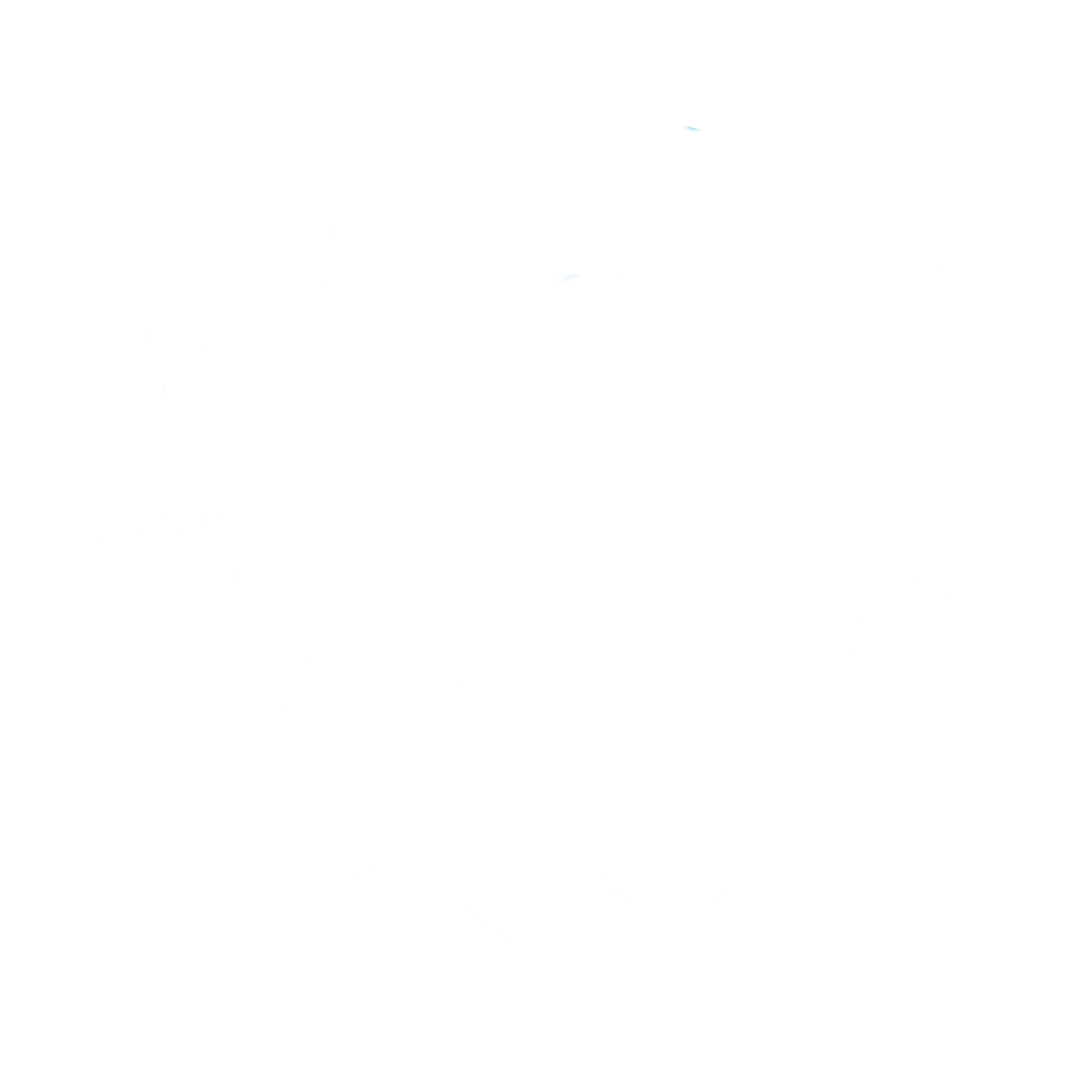 logo flow białe